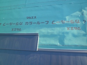 201101_005_2