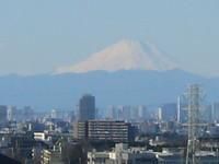 P1010841